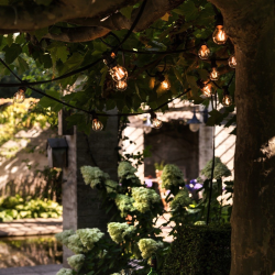 Bright Light Sort clear