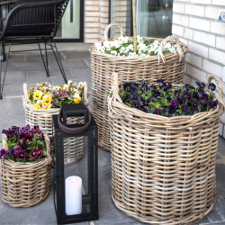 Caor, kurvest, 4 stk. 