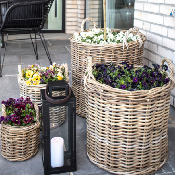 Caor, kurvest, 4 stk. 