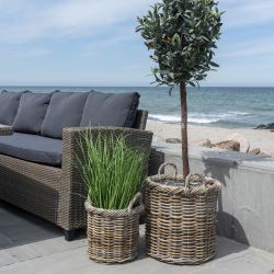 Gili, kurvest, 2 stk. 