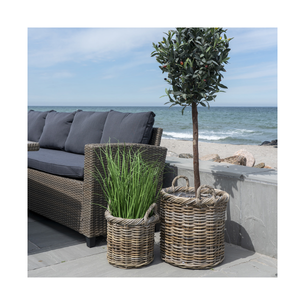 Gili, kurvest, 2 stk. 