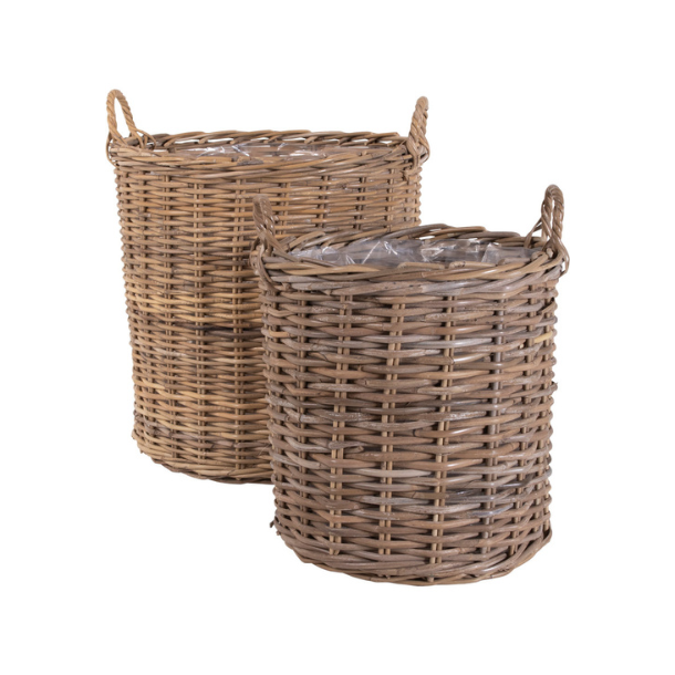 Indo, kurvest, 2 stk. 