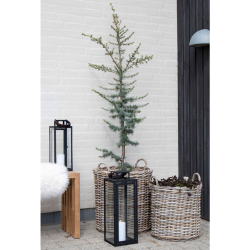 Indo, kurvest, 2 stk. 