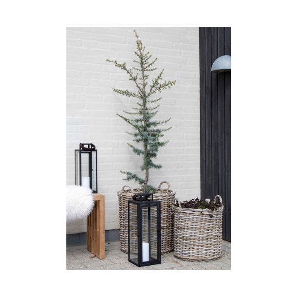 Indo, kurvest, 2 stk. 