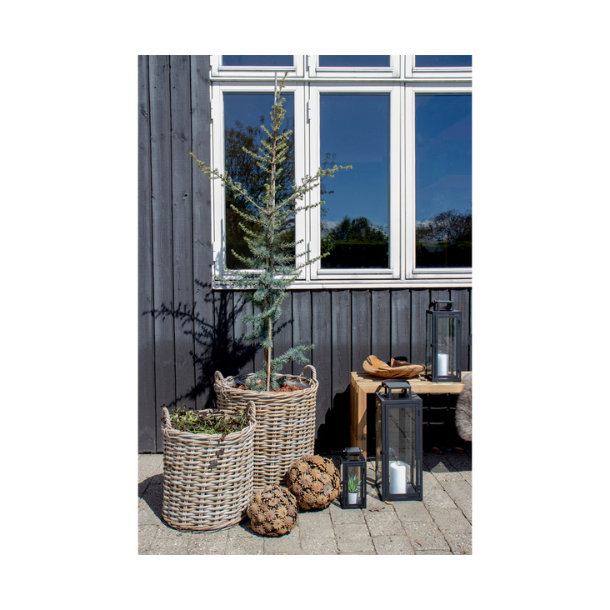 Indo, kurvest, 2 stk. 