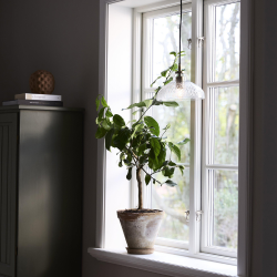 Maple, krystallampe med E27 sokkel